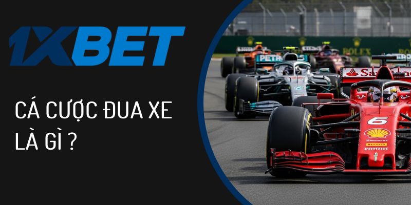 Cá cược đua xe là gì